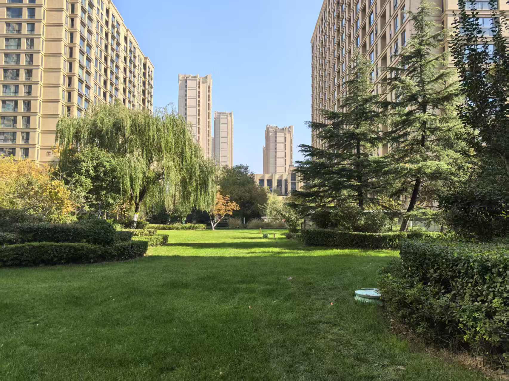 山东高速绿城玉兰花园